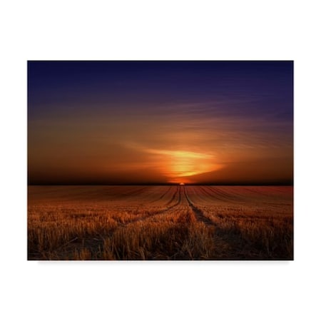 Nicolas Schumacher 'Morning Sunset' Canvas Art,18x24